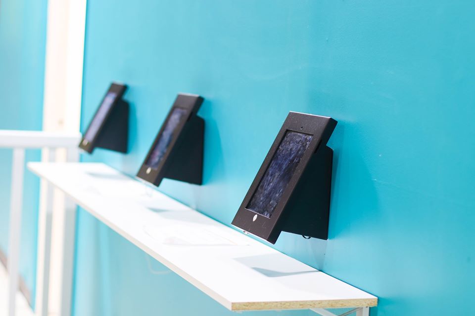 Gift Cards at Off The Wall Kids — Give Indoor Play in London Ontario
